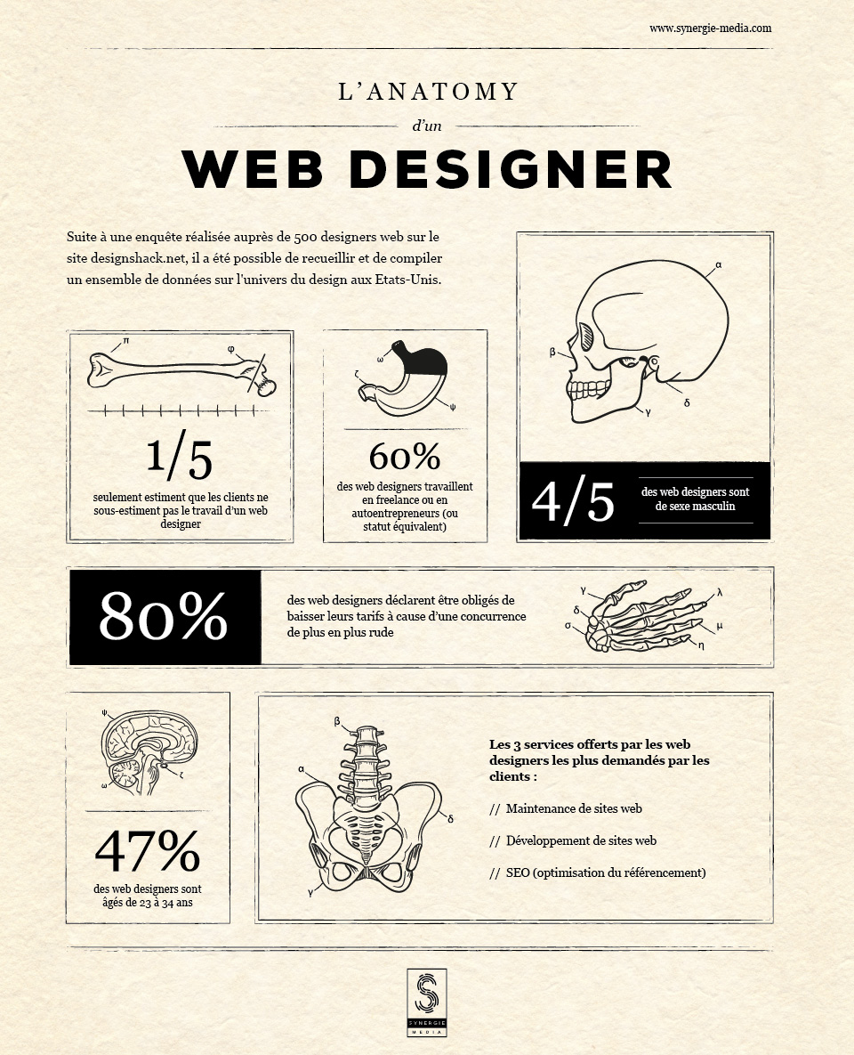 Infographie - L'anatomie d'un Web Designer